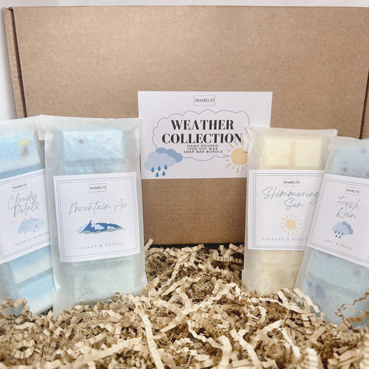 Weather Collection Wax Melt Bundle | 4 Snap Bars