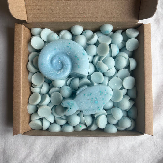 Seychelles: Mini Soy Wax Melt Scoopie Dots